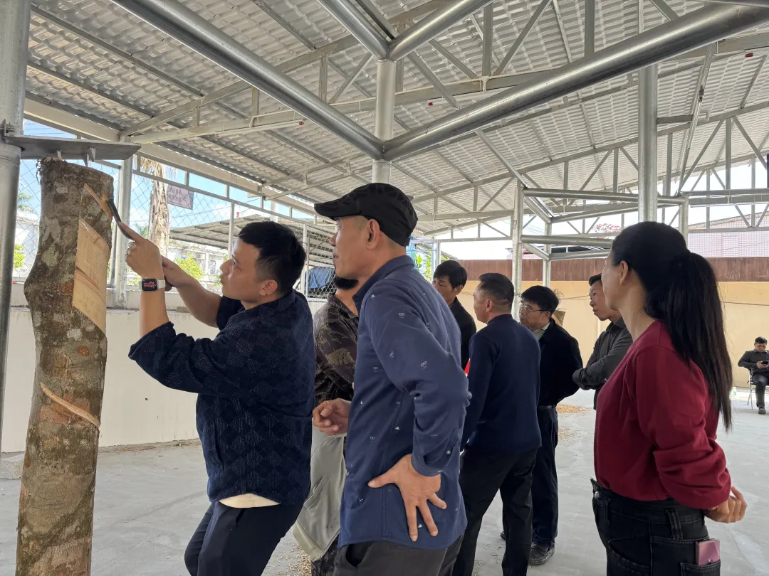 海南橡膠開展橡膠生產專業知識培訓